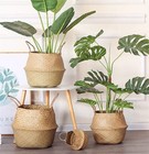 Large Woven Seagrass Belly Basket 12x14 Inch Plant Grocery Picnic Storage