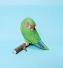 Shine G Tenori Inko Sleep Good Night Red Headed Rosy-faced Lovebird Green Figure