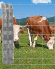 Cattle Farm Fence 4 X 328 Ft 12-gauge Steel Woven Wire Fencing With Hinge Knot