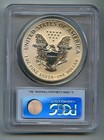 2006 P American Silver Eagle Dollar Pcgs Pr 69 Reverse Proof