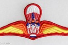 Royal Thai Army Parachute Jump Wings Airborne Paratrooper Cloth Patch  F545
