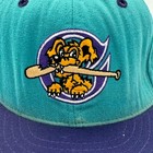 Vintage 90s New Era Milb Charleston Riverdogs Minor League Fitted Hat Size 7 1 8