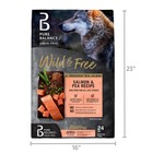 Pure Balance Wild   Free Grain-free Salmon   Pea Recipe Dry Dog Food  24 Lbs
