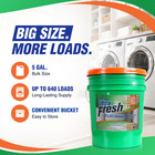 Ultra Fresh 3x Platinum 5 Gal Laundry Detergent  Up To 640 Loads  Original Green