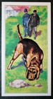 Bloodhound  Police Sniffer Dog   Vintage 1971 Illustrated Card  Ee02m