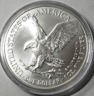 2025 American Eagle Silver Dollar With Eagle Privy 1 Oz 999 Silver - In Capsule