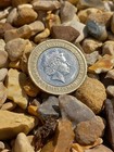 Rare 2 Pound Coin The First World War 2014 Coin 25  Goes  To Charity 