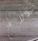 Dale Earnhardt Jr  Signed 88 National Guard Nascar Photo