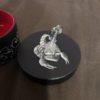 Hard Jewelry Zodiac Pendant Scorpio  november 