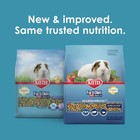 Kaytee Forti-diet Pro Health Nourish protect Guinea Pig Food  5-lb Bag