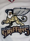 Authentic Grand Rapids Griffins Jersey Ahl Clean Reebok Mic Hockey Men   s 58 