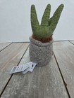 Jellycat Silly Succulent Aloe Retired Plush Stuffed Animal 7 