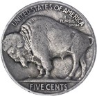 1929-p Buffalo Nickel Full Date Free Shipping W  Tracking