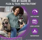 Front Plus For Dogs 45 To 88 Lbs 6 Doses 6 Month Supply  Brand New Free Shipping