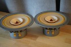 Fast 8 Open Baffle Speakers Lii Song One Pair New Old Stock