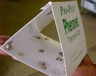 Pantry Moth Trap Indian Meal Moth Trap   6 Pack   Seed Moth Trap Flour Moth Trap