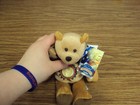 Limited Treasures Sacagawea And Pomp Golden Dollar Coin Bear