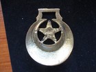 Vintage Horse Brass Medallion-star