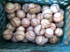 Lot Of 32 Well Used All Leather Cover Baseballs Fielding Batting Practice Balls