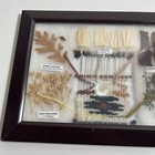 Authentic Navajo Dye Chart For Wool Rugs   Crafts 8  X 6 