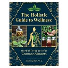 Holistic Guide To Wellness Common Ailments Paperback A5 Size Fast Ship