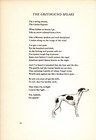 Sweet Greyhound Poem Poetry Print 1947 Morgan Dennis Greyhound Art 4572f