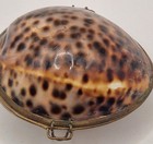 Vintage Tiger Cowrie Shell Purse Enamel Lined     Brass Hinged Trinket Box Seaside