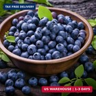 180 Mixed Fruit Seeds For Planting  Lemon 40   Cherries 10   Orange 40   Apple 4