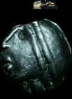 The Sequani Tribe 70-50 Bc  Celtic Gaul Potin 18mm  4 40 Grams  Antelope  Rare