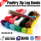 Zip Leg Bands Multi Colors For Poultry Chick Chickens Ducks Geese Turkeys 50pcs