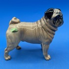 Beswick England Figurine Of Pug Dog Ch Cutmil Cupie  Retired 1982  Exceptional