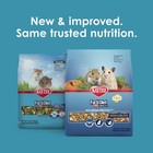Kaytee Forti-diet Pro Health Nourish protect Hamster And 3 Pound  pack Of 1 