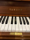 Yamaha P22 Upright Piano 45  Satin Walnut