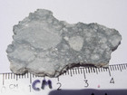 6 45 Grams 45x28x3mm Gadamis 004 Lunar Meteorite Slice In A Gem Case With A Coa