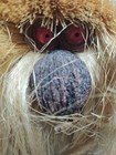 1978 Ken Arensbak 17 Tall Forest Troll 47 Years Old handcrafted pinecone   Acorn