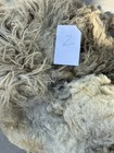 Navajo Churro Sheep Wool Approx  6-10lbs Fiber Fleece Spinning  Free Shipping  