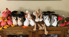 Lot Of 40 Ty  Beanie Babies  Lot Of Birds  2