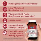 Garden Of Life - Vitamin Code Healthy Blood - 60ct Capsules