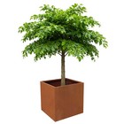 28x28x28inch Large Corten Steel Planter Garden Planter Outdoor Metal Planter Box