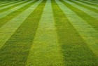 Velocity Pm  2oz  Herbicide