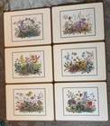  Vintage  Pimpernel Acrylic Placemat Set Of 6  12    X 9    Floral Cottage Core