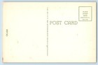 Baudette Minnesota Postcard Hello Native Deer Exterior View 1960 Vintage Antique