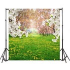 10x10ft Spring Scenic Backdrop Sweet Flowers Photography Background Meadow Fl   