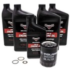 Victory Oem Oil Change Kit  2880219  2879600