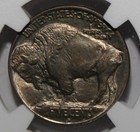1913-d Buffalo Indian Head Nickel Ngc Ms 64 Type 1