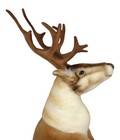 Hansa Nordic Deer Reindeer Stuffed Plush Animal 5373 60 Cm 24  Realistic Decor