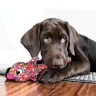 Kong Wubba Finz Dog Toy With Long Floppy Tails For Fetch And Tugging Fun