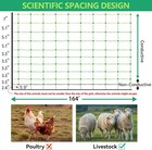 Sheep Electric Netting Fence 42 5  Hx 164  L  Livestock Fencing W posts Spikes