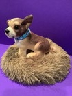 Plush Chihuahua Puppy With Bed
