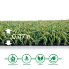 Pro Putting Green Golf Artificial Grass Turf 3ftx10ft - Indoor Outdoor Golf T   